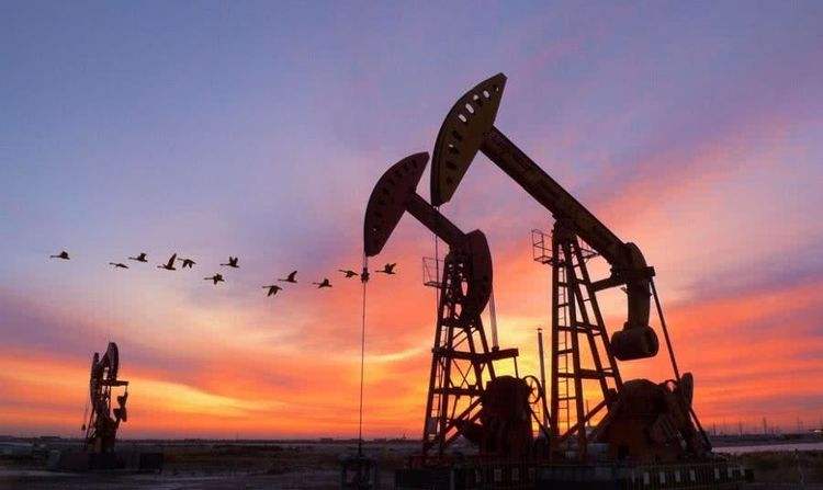 ���ﻯ�W(xu��)Ʒ